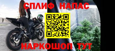 шишки Беслан