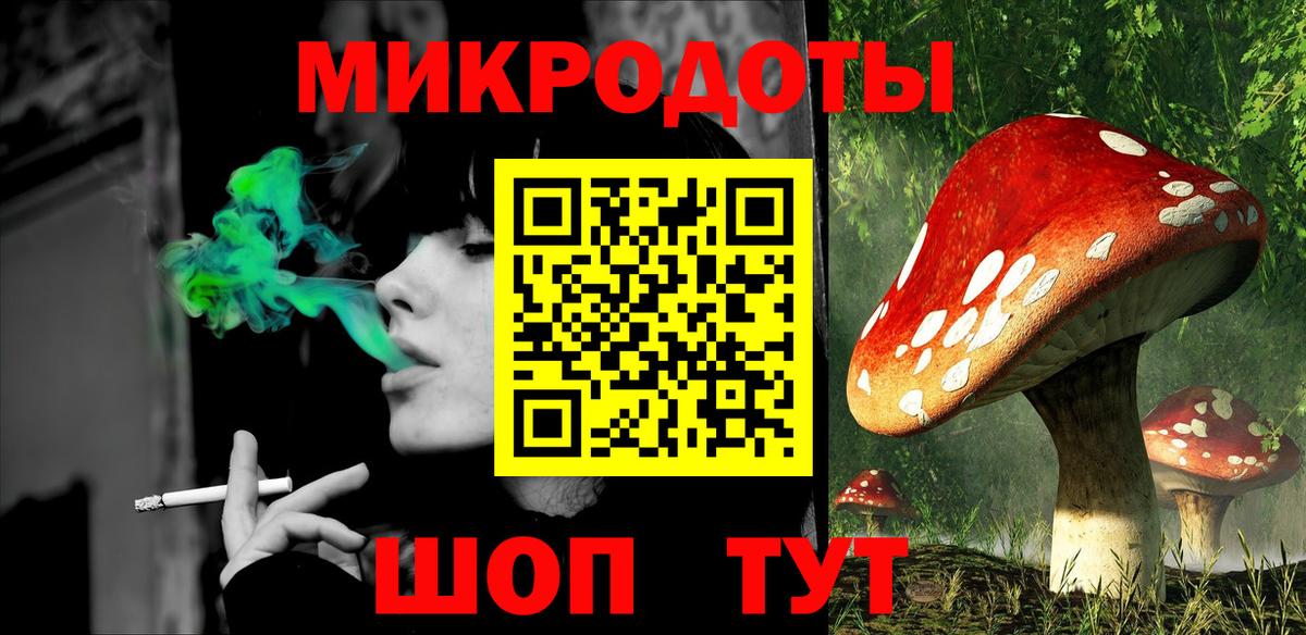 Псилоцибиновые грибы Psilocybe  Вход с VPN  Вичуга 