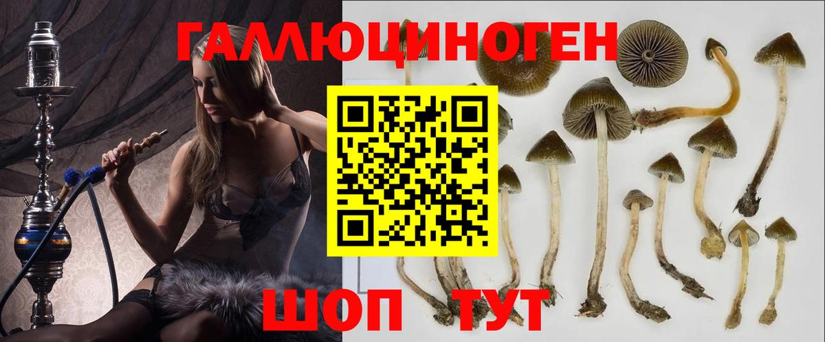 Alpha PVP Вичуга