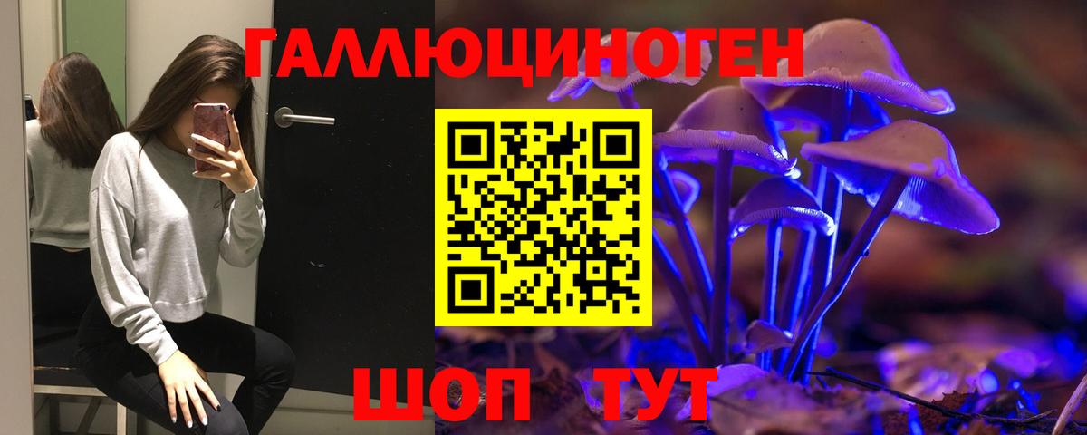 Галлюциногенные грибы Psilocybine cubensis Вичуга