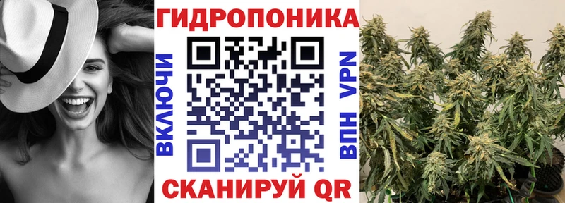 Шишки марихуана семена мориарти наркотические препараты Вичуга